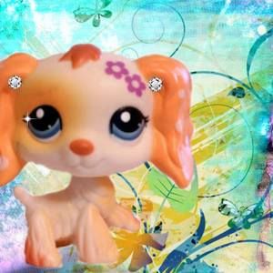 Meet your Posher, Lee